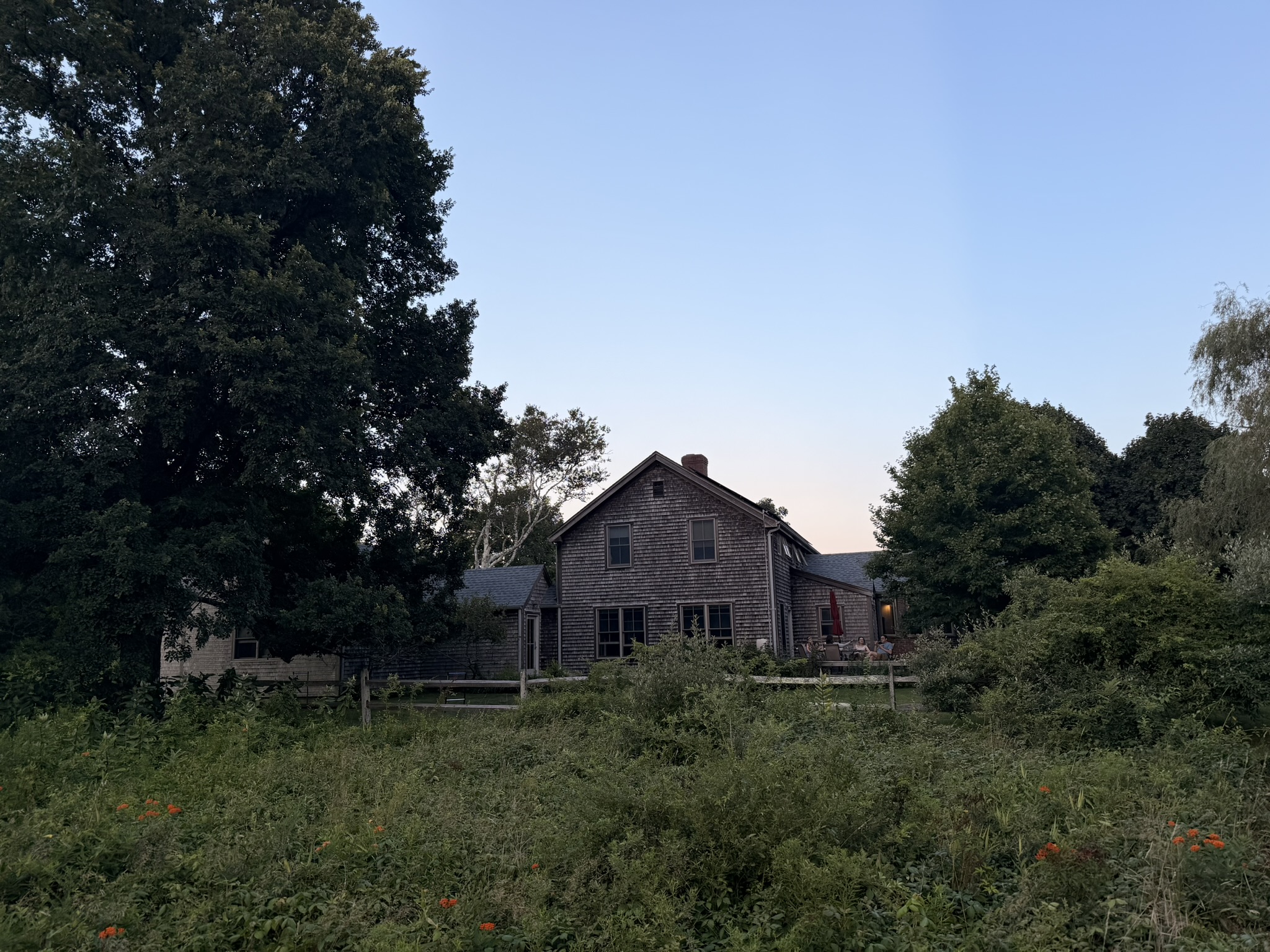 A house and field at dusk