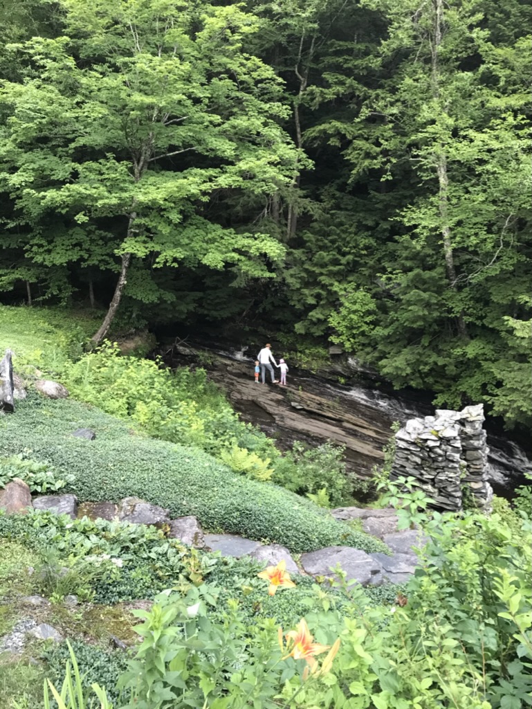 A wooded stream
